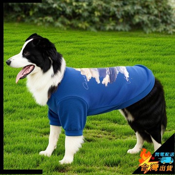 【台灣出貨】寵物服飾 保暖舒適 狗狗衣服秋季款 防寒衛衣 雙腳 保暖防掉毛 中型犬 薩摩耶 邊牧 金毛 打底衣