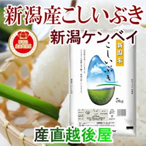 令和５年産 新米 新潟県産 新潟県産 新潟米 こしいぶき30kg ＪＡ農協米 新潟ケンベイ産 送料無料