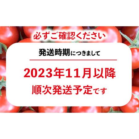 ふるさと納税 トマト好きが、恋をする。　1kg　金赤トマトミニ 愛知県常滑市