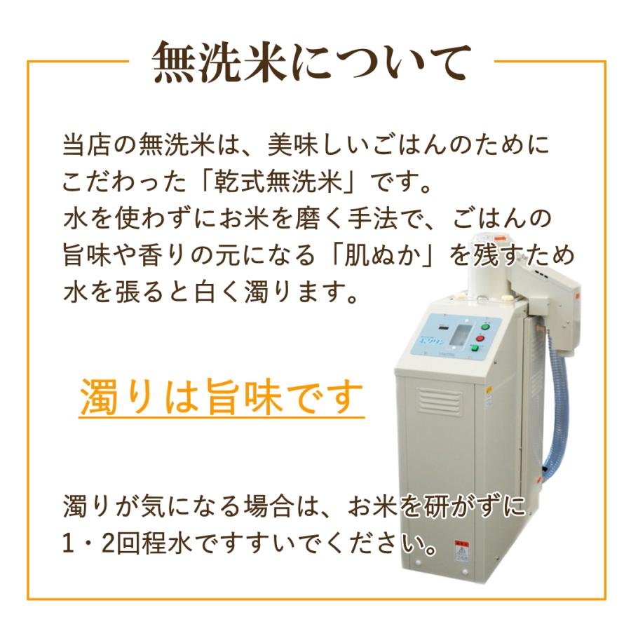 無洗米 新米 30kg 令和5年 宮城県産 ササニシキ 送料無料 5kg×6袋