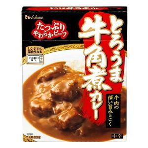 とろうま牛角煮カレー中辛