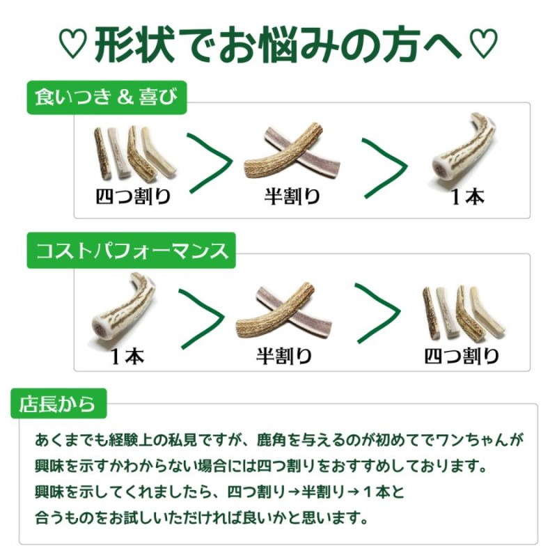 小型犬用 蝦夷鹿の角 『鹿角さん』 先端 1本 天然 無添加 北海道産 犬のおもちゃ 鹿の角 犬 かむおもちゃ エゾ鹿 エゾシカ ツノ デンタル 鹿角  噛み癖 | LINEショッピング