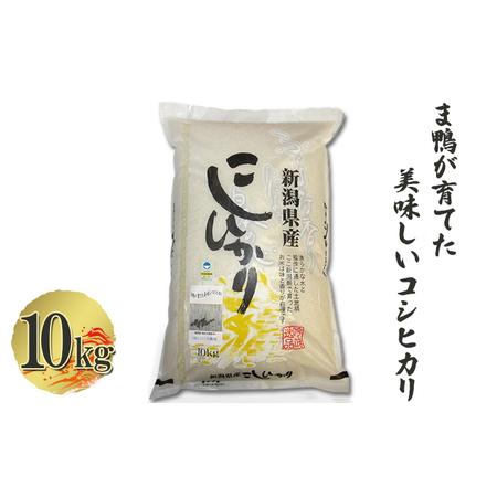 ふるさと納税 ま鴨が育てた美味しいコシヒカリ 10kg 新潟県新潟市