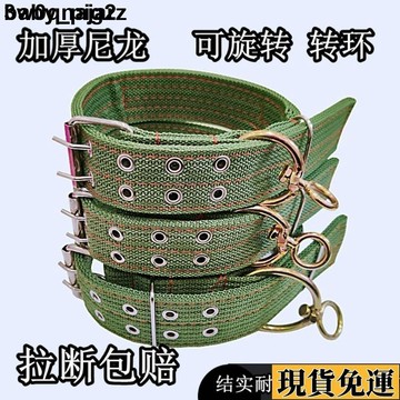🌸限時下殺🌸 大型犬 狗狗 項圈 狗圈 頸圈 脖圈 中型犬 金毛 德牧 馬犬 大中型犬 寵物用品
