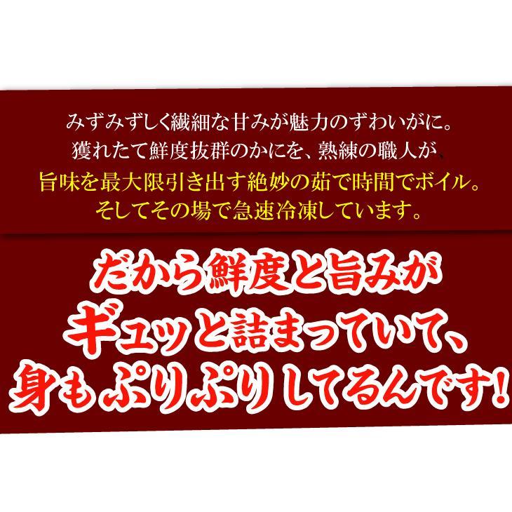 かに お買得 ボイルずわいがに・姿 1尾 約350g 冷凍便 食品