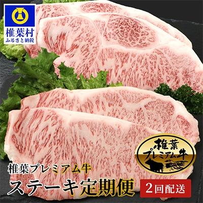 ふるさと納税 椎葉村 総重量800g!椎葉プレミアム牛ステーキ定期便≪サーロインステーキ・ロースステーキ≫