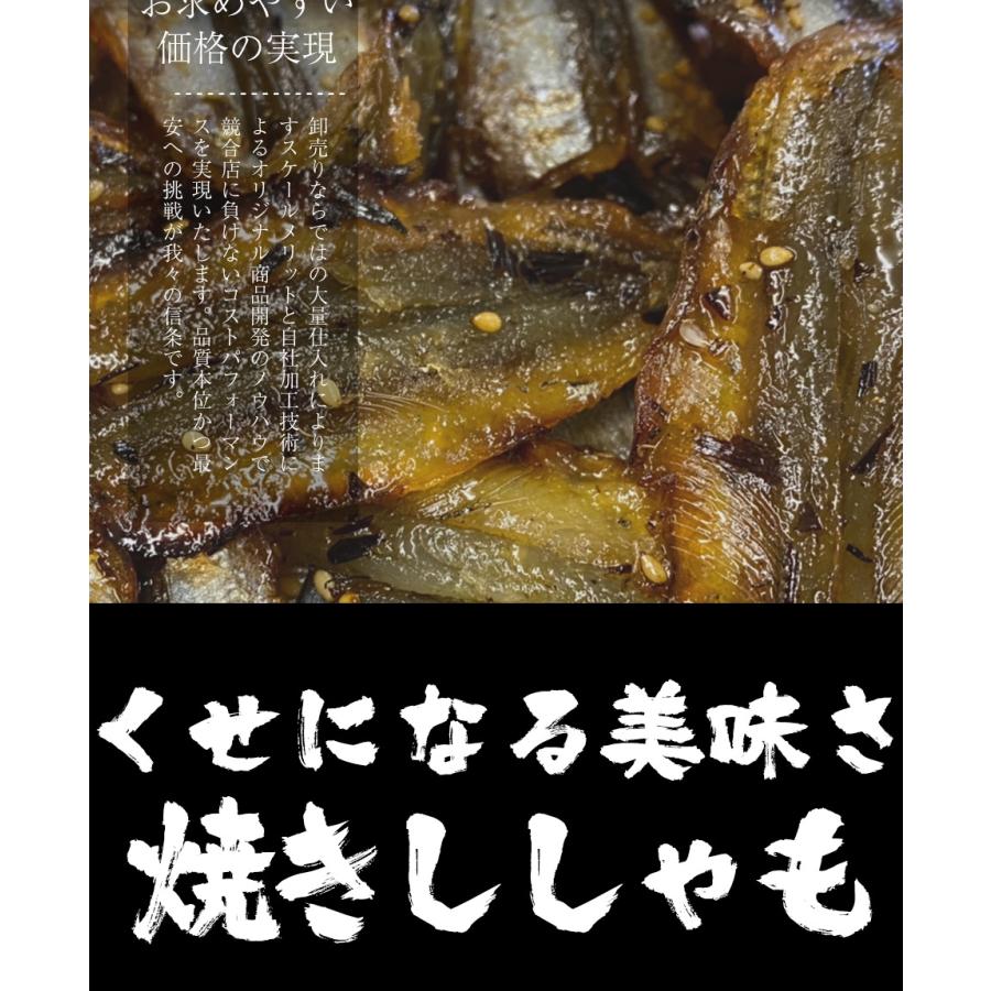 焼ししゃも シシャモ 200g みりん干し 在宅 酒の肴 ゆうパケット便 メール便