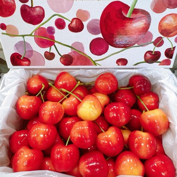 【帕查嬤嬤】🇨🇱智利 空運 白櫻桃🍒｜智利白櫻桃禮盒