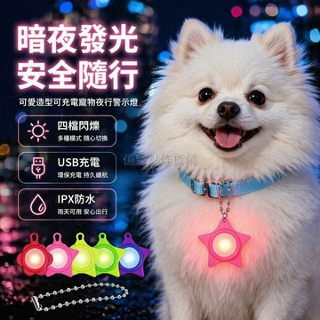 台灣出貨✨ 可充電發光星星 寵物項圈吊墜 狗狗防走失燈 夜間夜行提示 四種模式 防水耐用 寵物安全配件 可愛造型