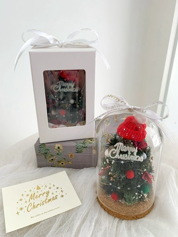 迷你聖誕樹玻璃罩 乾燥花 永生花 聖誕節禮物 交換禮物 玻璃盅