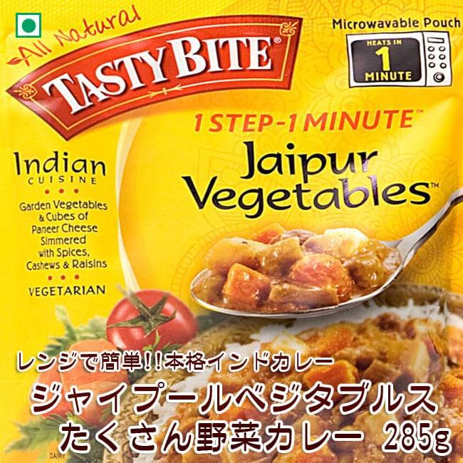 カレー レトルト tasty bite インド料理 ジャイプール ベジタブル（ジャイプール・野菜カレー） パニール