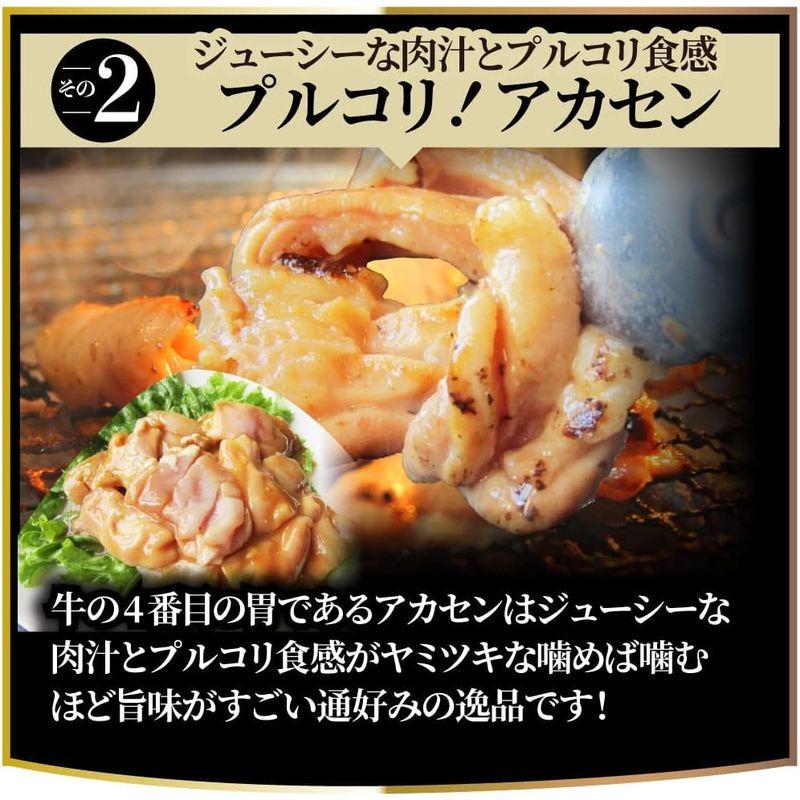 3種のとろける 極み ホルモンミックス焼肉 10kg（250g×40）