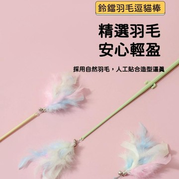 高雄出貨🔥羽毛鈴鐺長桿逗貓棒 逗貓玩具 逗貓棒 貓玩具 貓咪玩具 逗貓 寵物用品 寵物玩具 逗貓桿