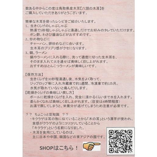 乾燥きくらげ　国産　鳥取県産　八頭の木耳　200g×1パック