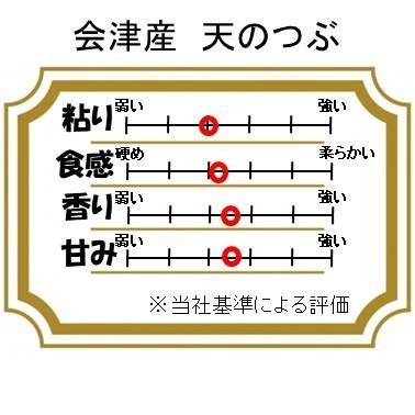 令和5年産新米 会津産天のつぶ 玄米お試し10kg