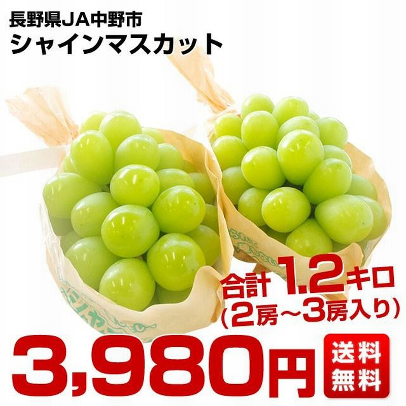  ふるさと納税 中野市 産地より信州中野の旬をお届け 高丘フルーツの長野県産 旬のフルーツ詰め合わせ Mサイズ 