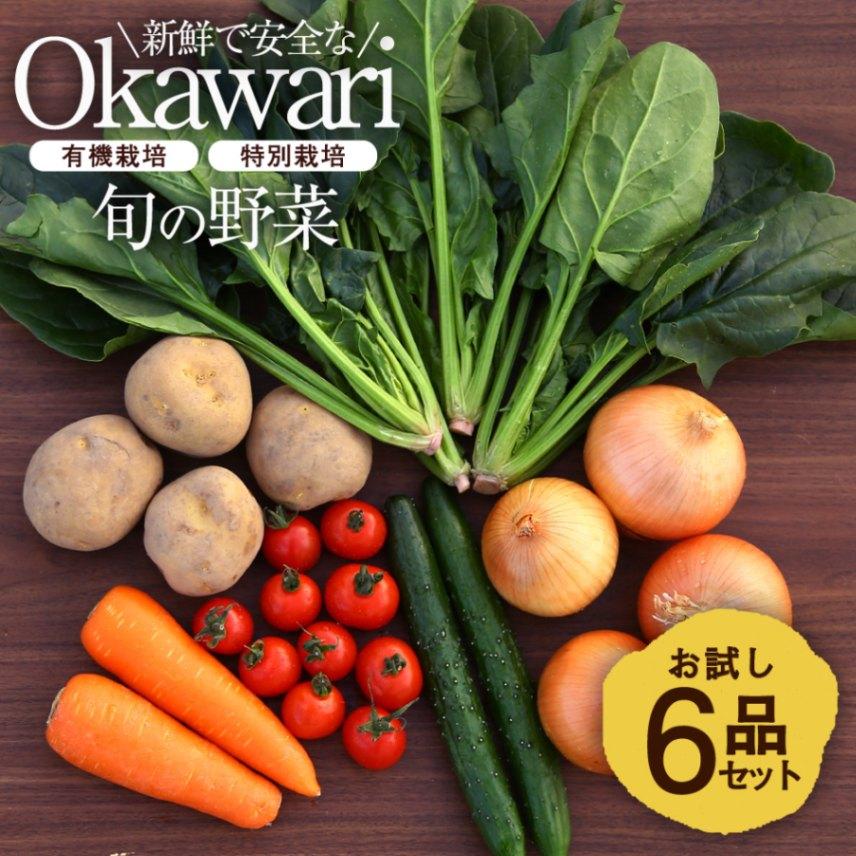 OKAWARI旬の野菜 6品お試しセット（有機野菜と特別野菜と果物）【  野菜 セット 有機栽培 特別栽培 お試し じゃがいも 人参  玉ねぎ 新鮮 安全 オーガニック 無