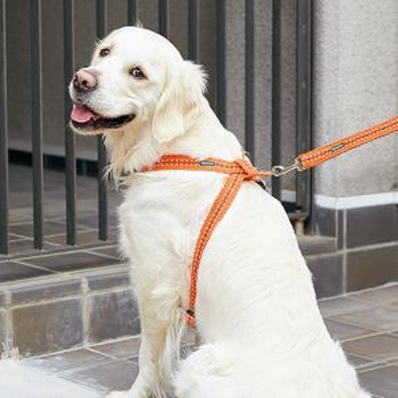 Peppy ペピイ ウーブンプラス カラフルハーネス はな オレンジ S ハーネス 犬用 通販 Lineポイント最大get Lineショッピング