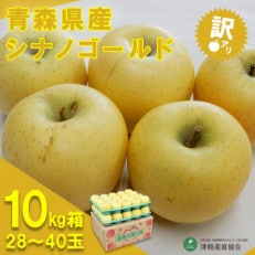 令和6年1月中旬より発送 訳アリ シナノゴールド10キロ箱 28～40玉 津軽産直組合直送!