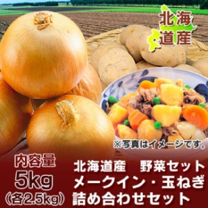 じゃがいも 送料無料 メークイン 北海道産 野菜セット 北海道 メークイン たまねぎ 野菜セット 5kg (各2.5kg) Lサイズ メークイン 玉ねぎ