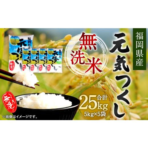 ふるさと納税 福岡県 直方市 福岡県産 元気つくし 無洗米 25kg お米 ご飯 米