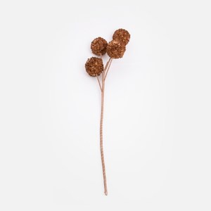 Flora芙蘿拉花插兵乓菊 咖啡