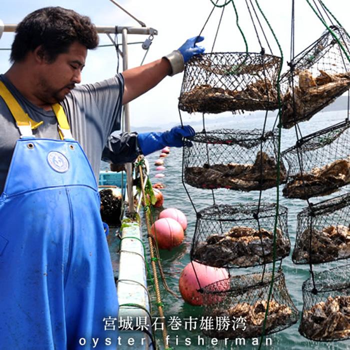 カキ SALE 牡蠣 生牡蠣 殻付き 中 12個 生食用 生ガキ 宮城県産 三陸漁師 格安カキ 産地直送 お取り寄せ バーベキュー［お歳暮 2023 ギフト 魚 御歳暮］