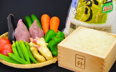 定期便 12回 野菜 4品 米 コシヒカリ 5kg 新鮮 朝採れ野菜 白米 ごはん お米 セット 詰め合わせ 産地直送 高知県 須崎市