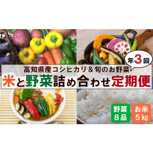 ふるさと納税 高知県 須崎市 定期便 3回 野菜 8品 米 コシヒカリ 5kg 新鮮 朝採れ野菜  白米 精米 ごはん お米 セット 詰め合わせ 産地直送 高知県 須崎市 NPO…