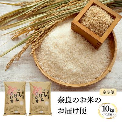 ふるさと納税 吉野町 奈良のお米のお届け便　10kg×1年分