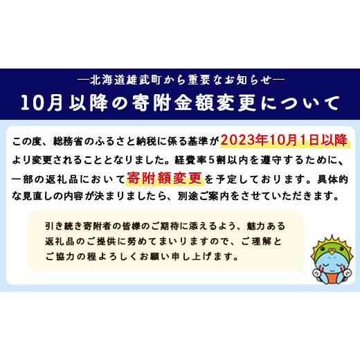 ふるさと納税 北海道 雄武町 北海道雄武町産　韃靼そば堪能セット(「満天きらり」720ml×2　韃靼そば乾麺200g×3)