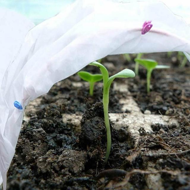 庭の植物の保護カバー,1.5x8m 3x4m,不織布の果物とほこりの保護カバー,野菜の霜取り