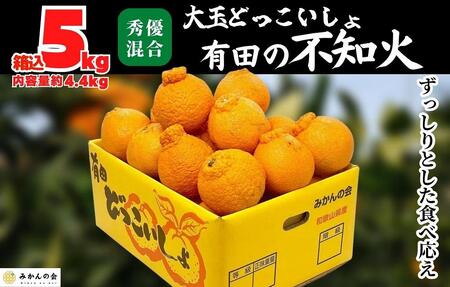 不知火 大玉 どっこいしょ 箱込 5kg (内容量約 4.4kg) 秀優混合 和歌山県産 