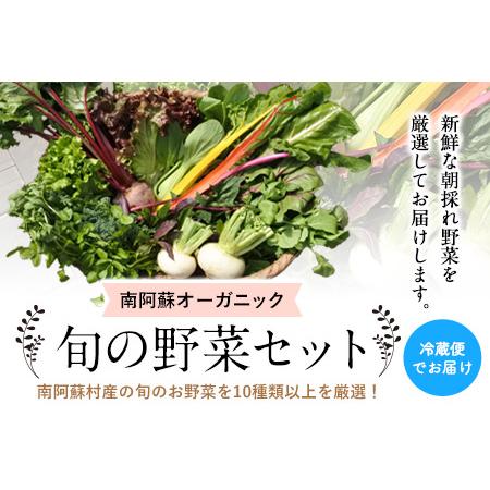 ふるさと納税 南阿蘇オーガニック 旬の野菜セット10種類以上詰め合わせ《30日以内に順次出荷(土日祝除く)》熊本県 南阿蘇村 野菜 カブ ビーツ .. 熊本県南阿蘇村