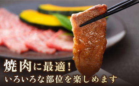 佐賀牛 焼肉セット 1kg赤身 バラ ロース 不揃い カット [HAD148]