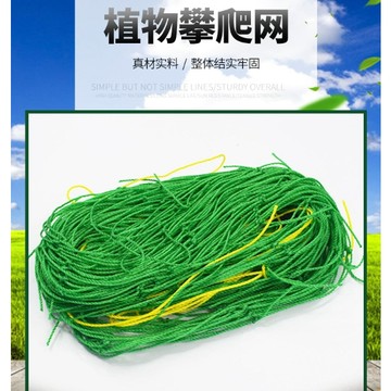 台灣出貨【18股植物爬藤網 多尺寸可選】果園 果樹 藤蔓植物 瓜果藤蔓 爬藤 攀緣 爬牆植物 百香果 絲瓜 花卉