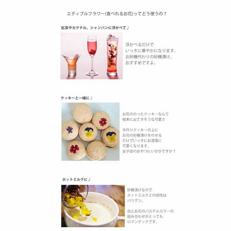 デメル本店 スミレの砂糖漬け DEMEL-