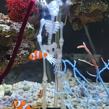 新品🌹魚缸骷髏打氧魚缸神器跳舞骷髏魚缸海缸造景裝飾擺件 水舞骷髏頭魚缸造景創意擺件無動力跳舞搖擺骷髏裝飾可動打氧