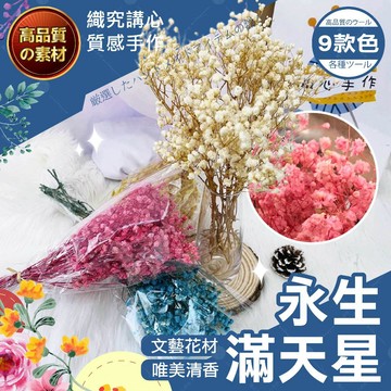 【隔日送達🚀】永生滿天星 永生 不凋滿天星 拍照道具 滿天星花 桌花花束 不凋花 手作DIY 手作花束 永生花 手工花
