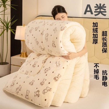 加厚羊羔絨冬季保暖棉被牛奶絨法蘭絨被芯珊瑚絨直播爆款被子批發