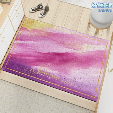 【耐磨防滑】入門地墊 絲圈地墊 蹭泥墊 門廳墊 入戶地毯 加厚PVC底 刮沙除塵 吸水防滑 玄關家用必備