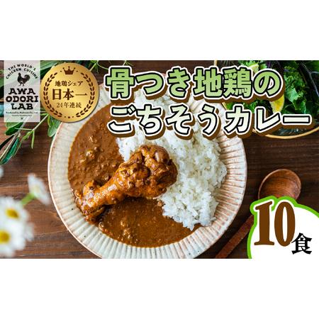 ふるさと納税 阿波尾鶏骨つき地鶏のごちそうカレー １０人前セット 徳島県海陽町