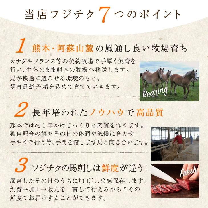 熊本 ふじ馬刺し 厳選赤身詰合せ　送料無料 ギフト