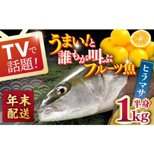 ふるさと納税 長崎県 平戸市 ヒラマサ（半身） 平戸なつ香 ヒラス 約1kg 平戸市 ／ 坂野…