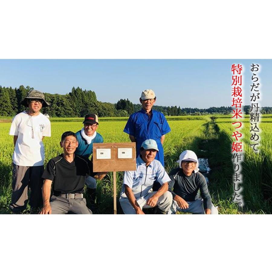 米 2kg 新米 つや姫  精米 山形県産  令和5年産 ギフト 単一原料米 ブランド米 こめ コメ 白米 産地直送  kkb-001