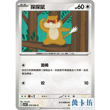 萬卡坊 / 寶可夢 PTCG 中文版 SV11W 070 探探鼠 普卡