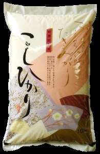 コシヒカリ　玄米10kg（茨城県共通返礼品・かすみがうら市産）