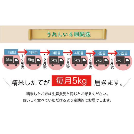 ＜配送時期が選べて便利な定期便＞  令和5年産 特別栽培米 つや姫  定期便 30?（5kg×1カ月間隔で6回お届け） ＜配送時期指定可＞ 山形県 真室川町