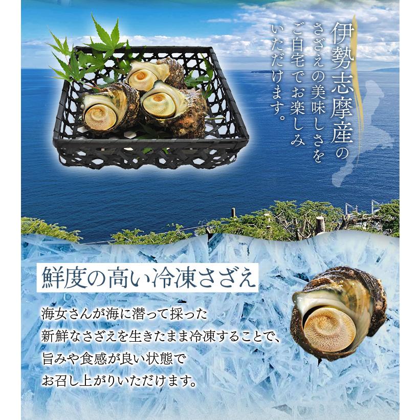 さざえ 中サイズ ２０個 海鮮 バーベキュー カンカン焼き 冷凍