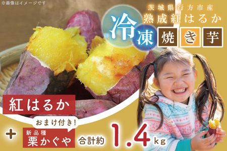 EY-3　茨城県行方市産熟成紅はるか少し大きめサイズ冷凍焼き芋約1.2キロ！おまけ付‼合計約1.4キロ!!!